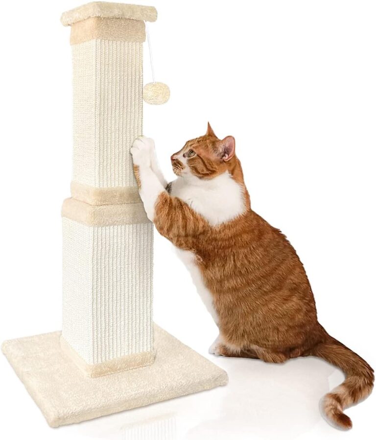 Scratching Post