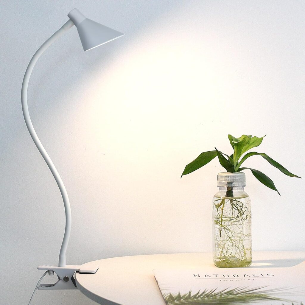 Dorm Room Desk Lamp